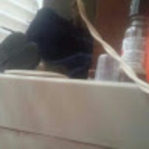 Meet your Posher, Helen